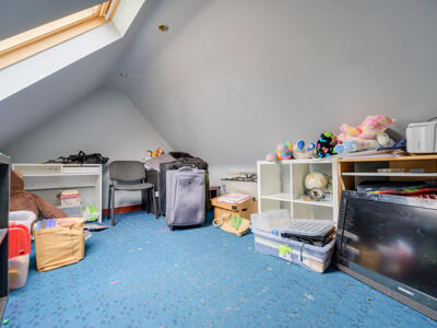 Picture 21